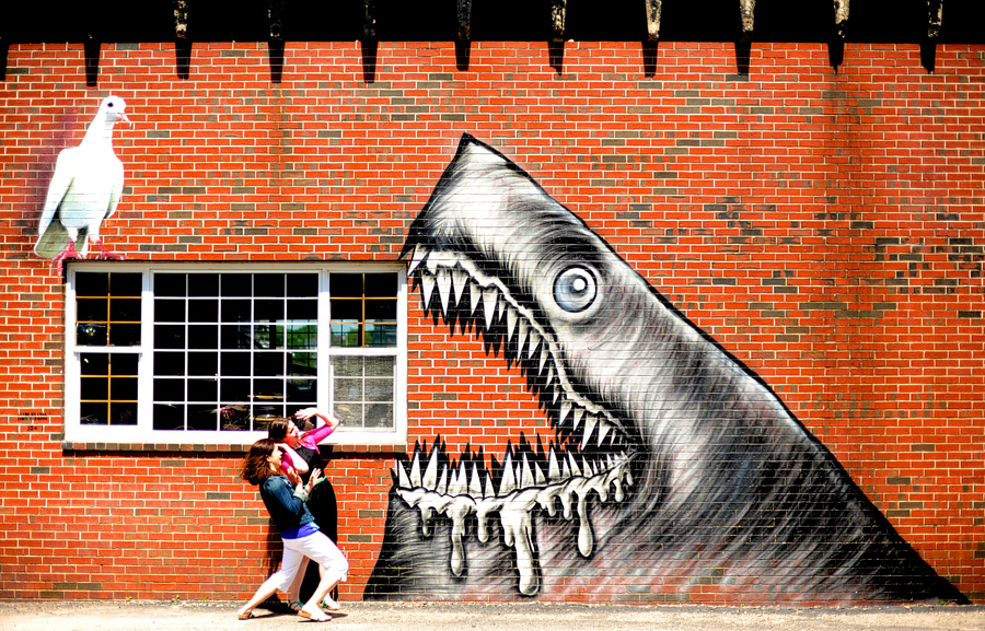 portsmouth shark wall