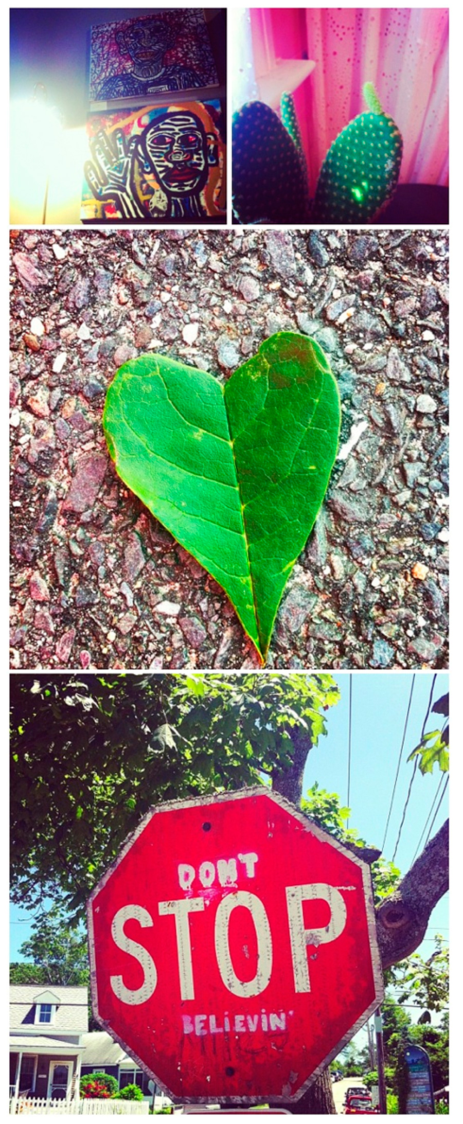 Some randomness: I got to see my brother's artwork on display (twice!), got a cactus (and it started sprouting mini cacti), found an awesome heart-shaped leaf, AND found this amazing stop sign on Peaks Island.