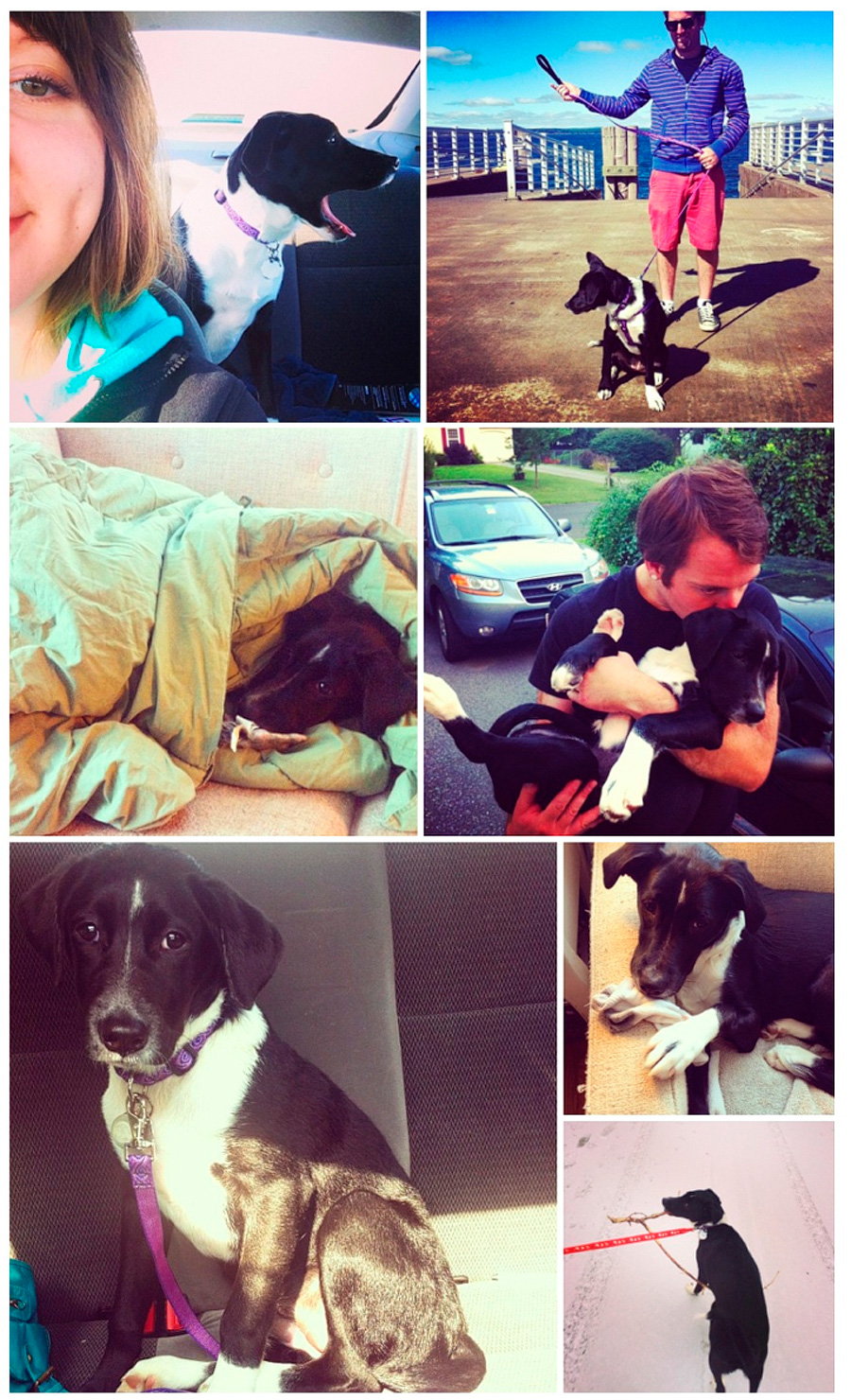 In July we adopted a rescue puppy and named her Mukow. She has been THE GREATEST!