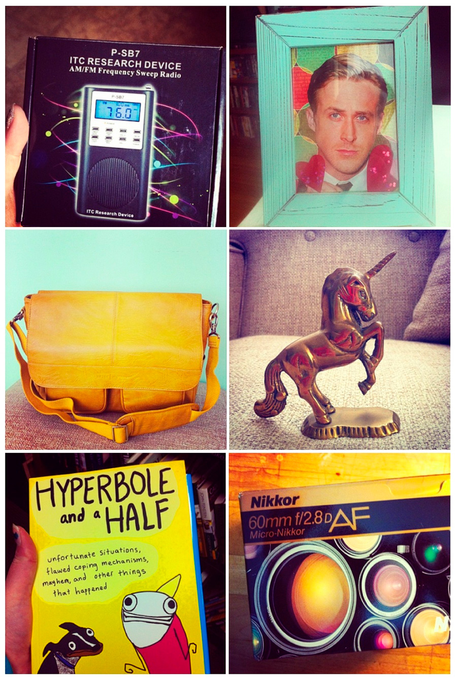 I know things aren't so important, but there were still some cool things to be had in 2013. Nate bought me an awesome ghost hunting tool for Christmas, my Mom gave me a framed Ryan Gosling photo for Valentine's Day (which still sits on my desk), I bought a new goooorgeous camera bag, I scored this amazing brass unicorn on Etsy, finally bought Hyperbole and a Half (and devoured it in about an hour), and grabbed up a 60mm macro lens!