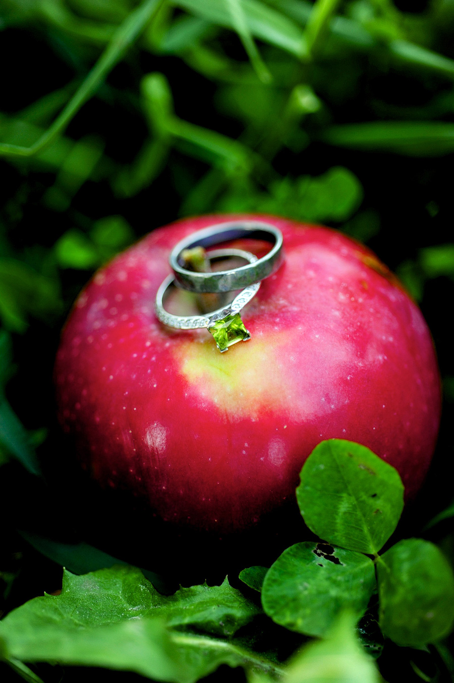 Alisa & Kim's stunning engagement rings! We did part of the session at an apple orchard, so it seemed appropriate. :)
