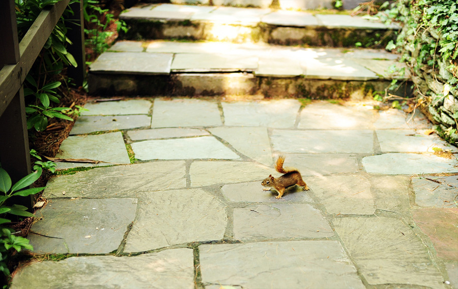 I snapped a quick photo of this tiny little guy right before Kaitlin & Taryn's First Look!