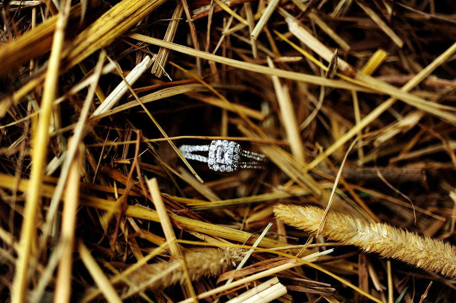 Ellen's stunning engagement ring -- in some hay, since we did their engagement shoot at Larry's family farm. :)