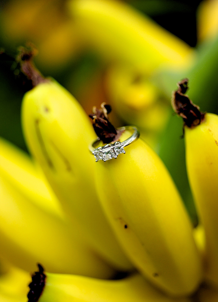 I can't resist including this ring shot from Nikki & Jay's engagement session -- we hid from the rain in a botanical center, and I thought these bananas would be perfect. :)