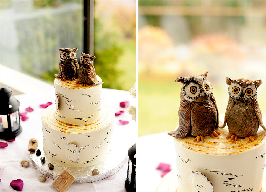 Sara & Chris had gorgeous details -- I loved their birch tree cake with owl toppers!