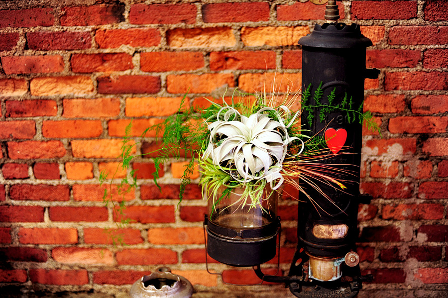 Tracy's bouquet was one of my favorites of the year -- air plants from Seed to Stem in Worcester, MA!