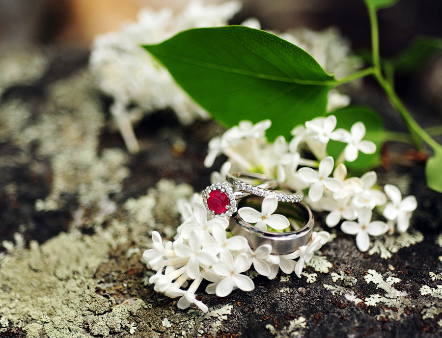 lilac ring photo