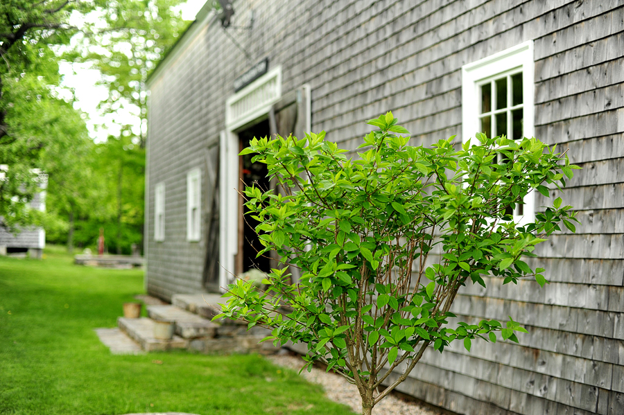 spring wedding at moody mountain farm