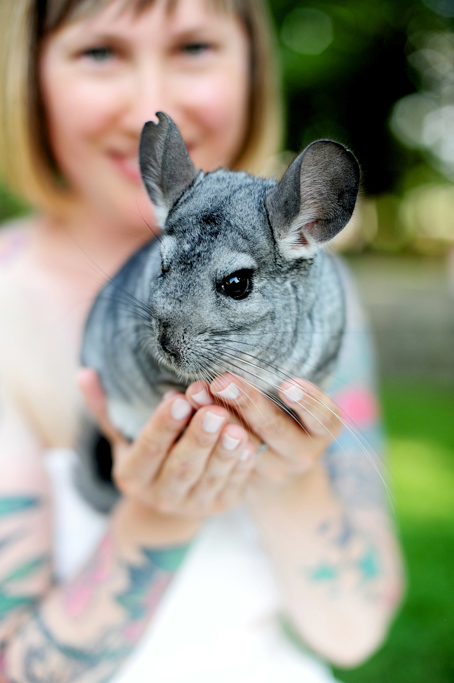 bride holding a chinchilla