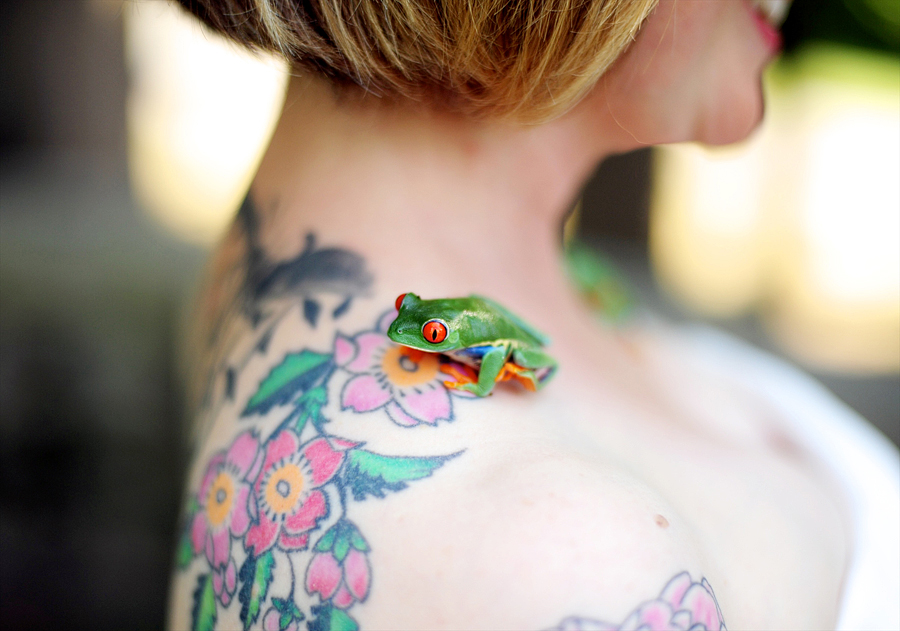 tattooed bride with a tree frog