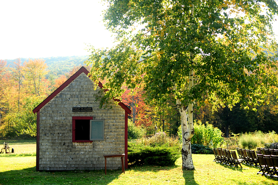 moody mountain farm birch trees