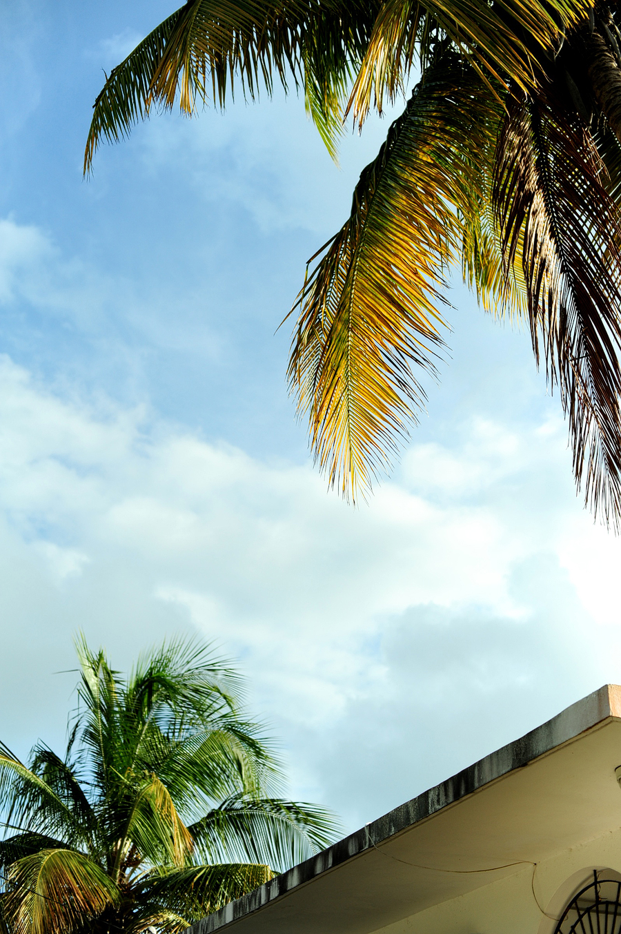 Vieques, Puerto Rico 