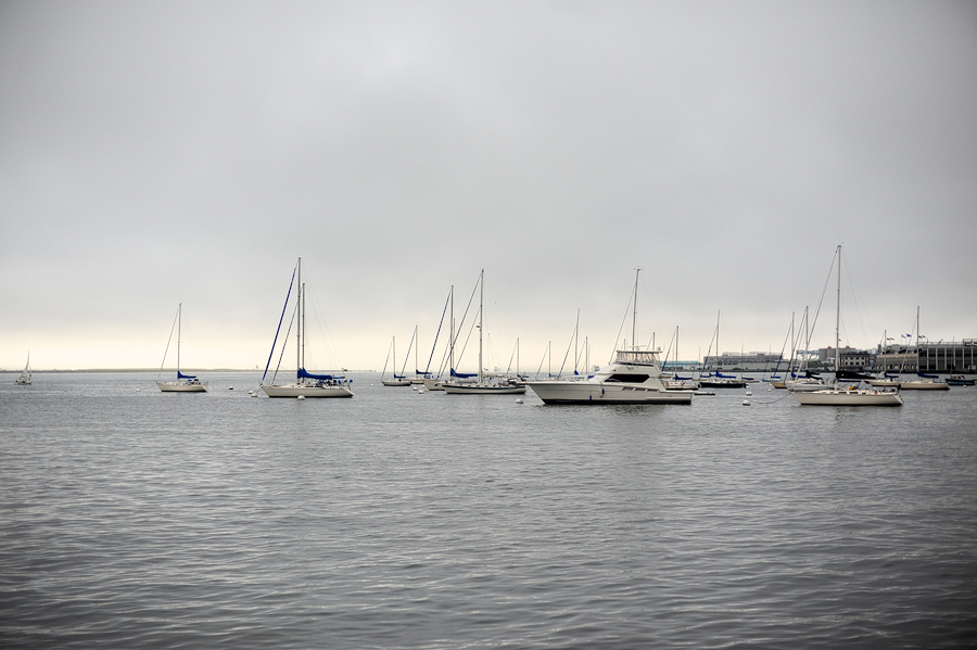 view from the new england aquarium