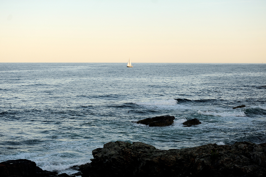 sailboat at marginal way in ogunquit