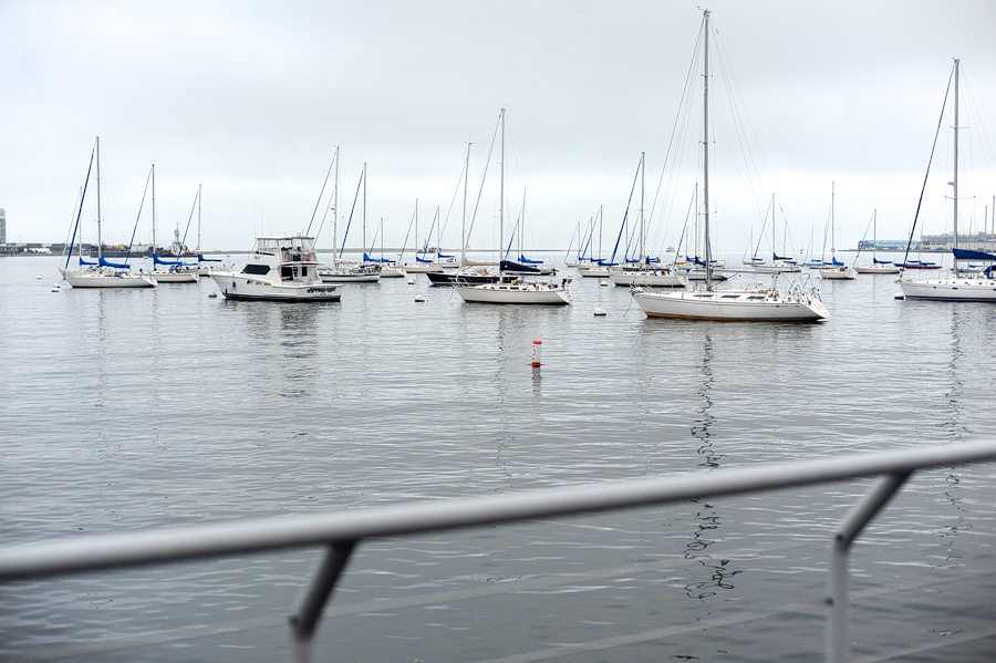 view from the new england aquarium