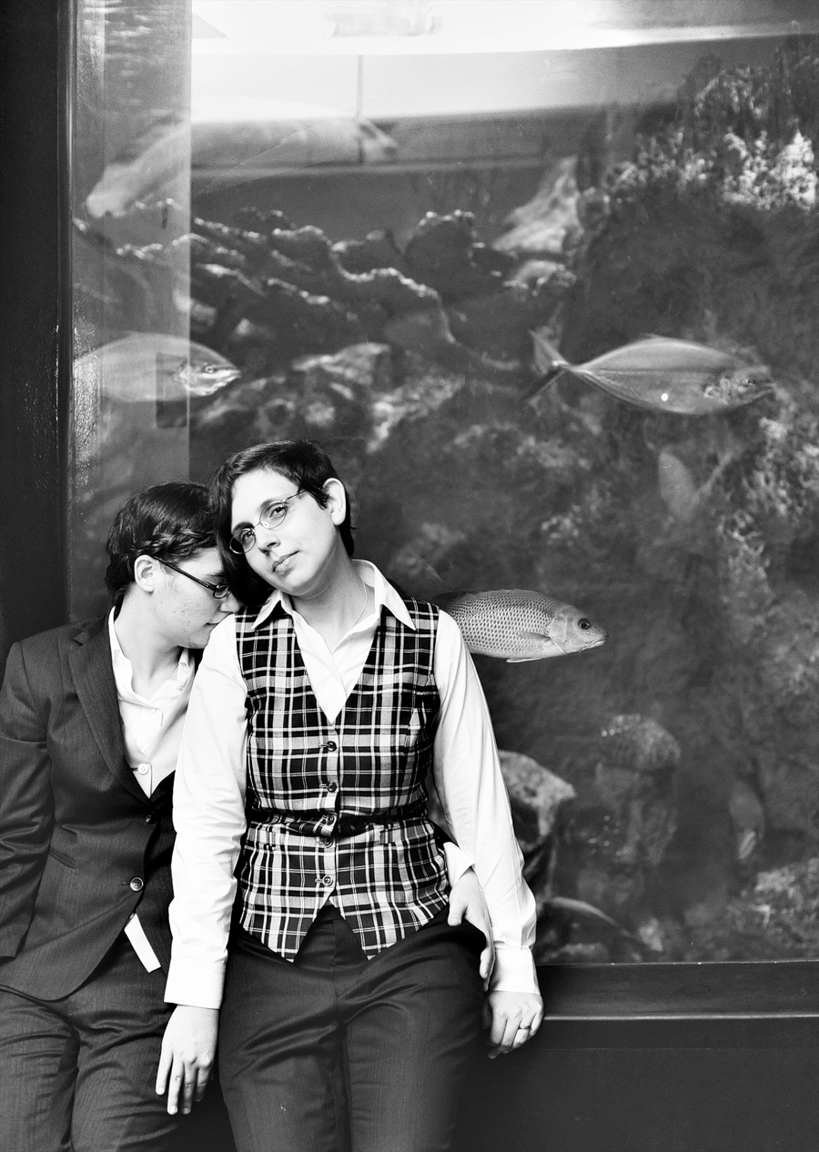 new england aquarium wedding