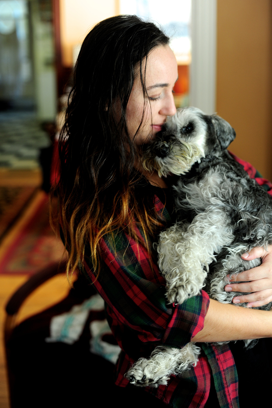 end of life dog photographer