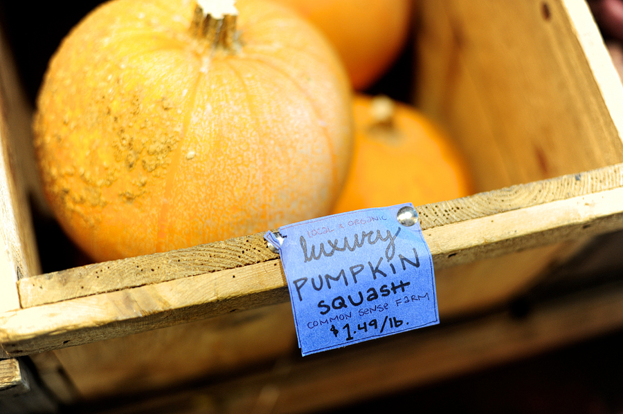 pumpkin squash from common sense farm
