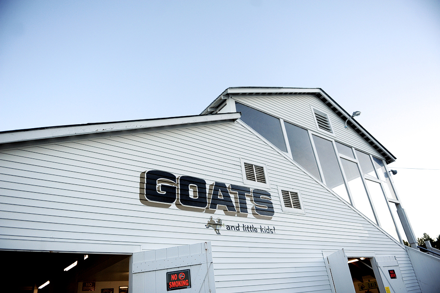 goats at the fryeburg fair