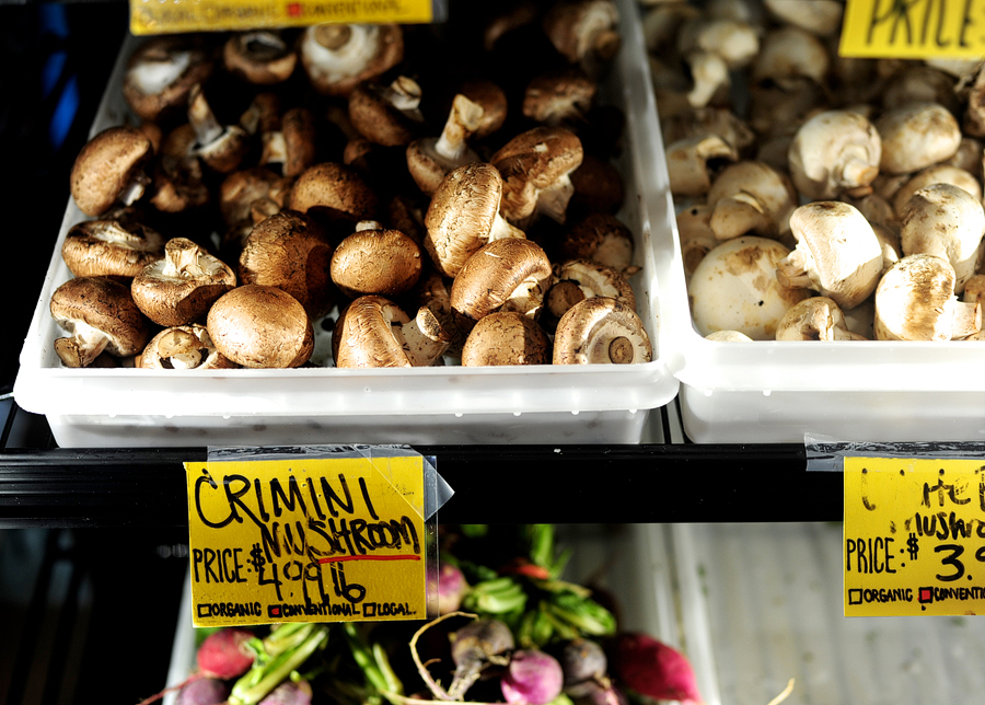 mushrooms at rosemont market