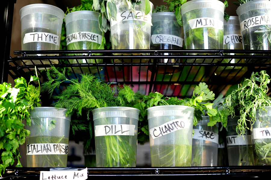 fresh local herbs in maine