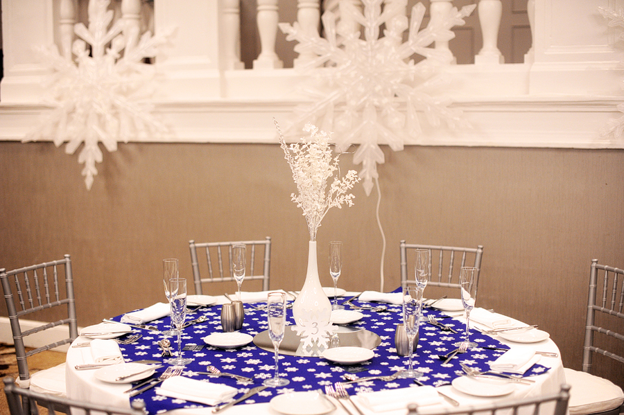 winter themed wedding decor