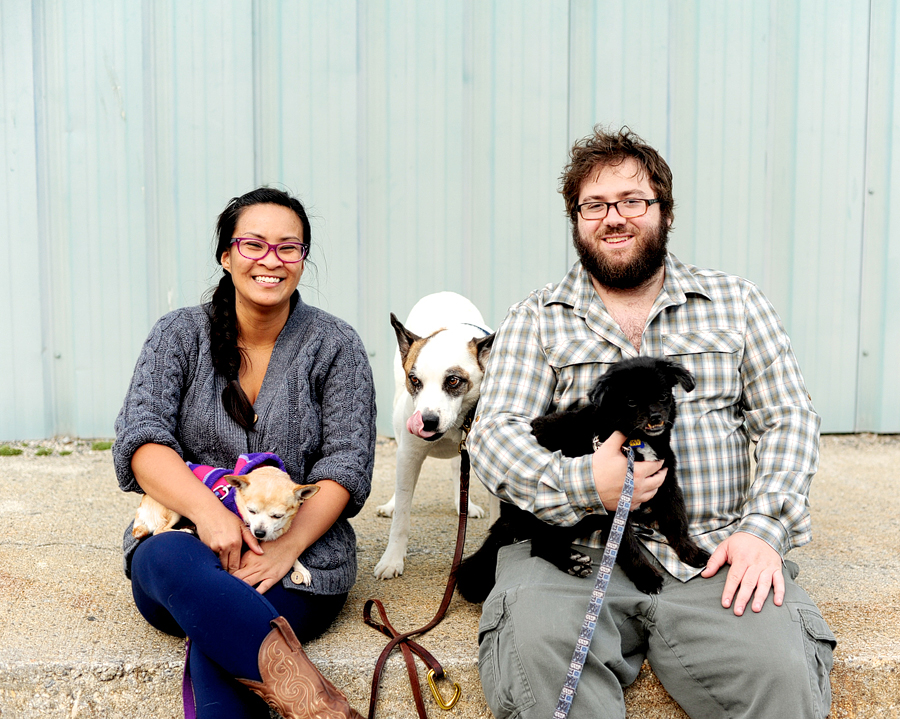 celebrate life, maine dog photographer, portland maine dog photos, terminally ill dog