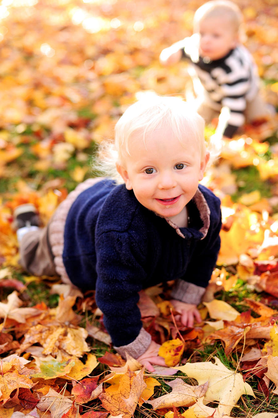 smiling hill farm family session