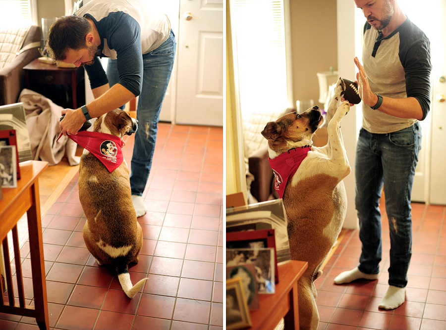 man high fiving dog