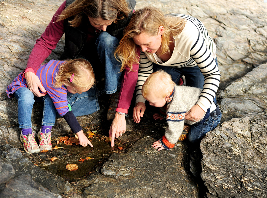 family exploring the beach in falmouth, maine