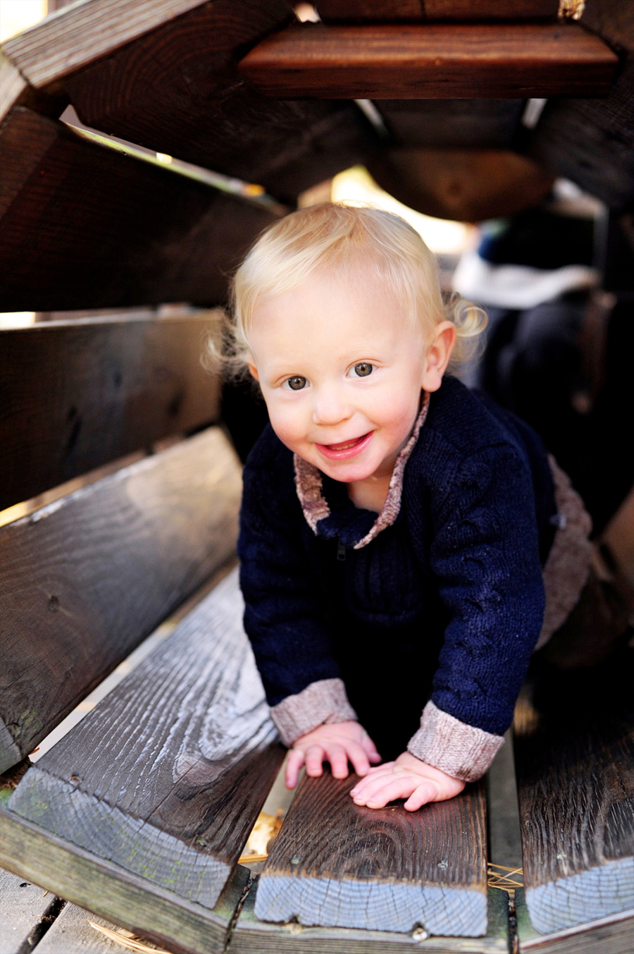 smiling hill farm family session