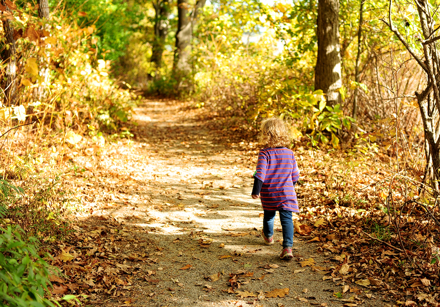 little girl adventuring on mackworth island