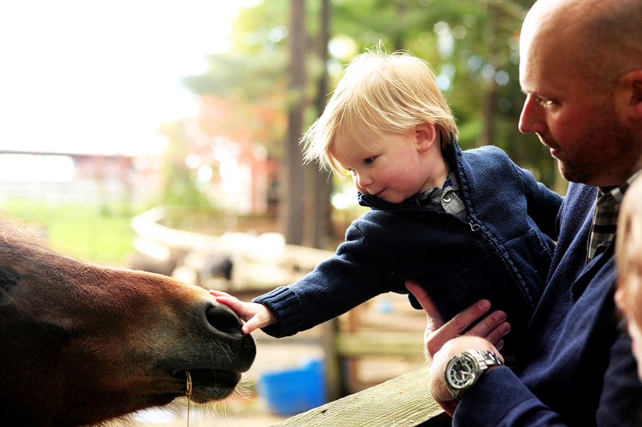 petting zoo at smiling hill farm