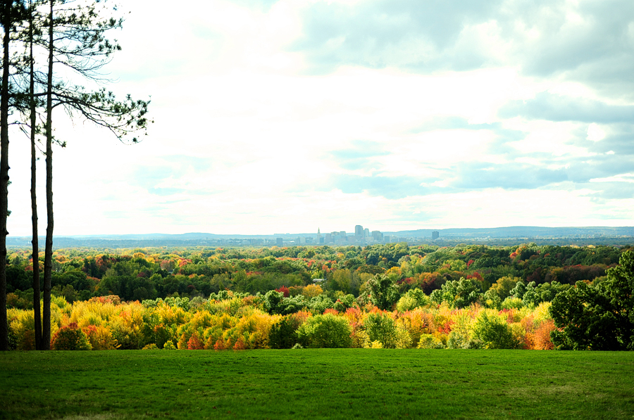 view from wickham park in connecticut
