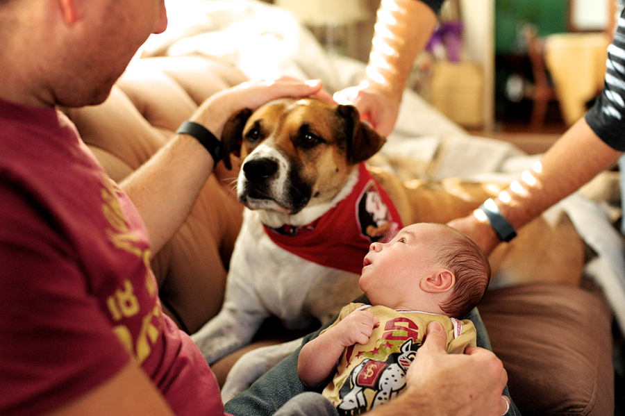 baby looking at dog