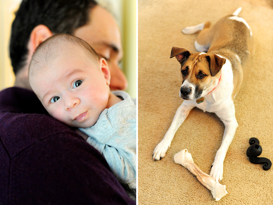 baby and dog