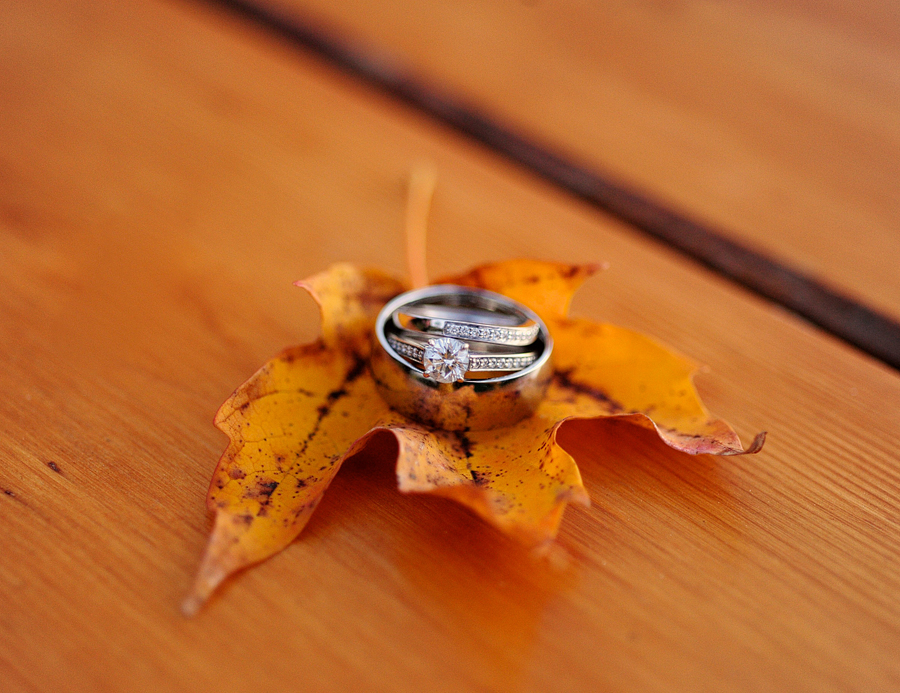 fall foliage ring shot