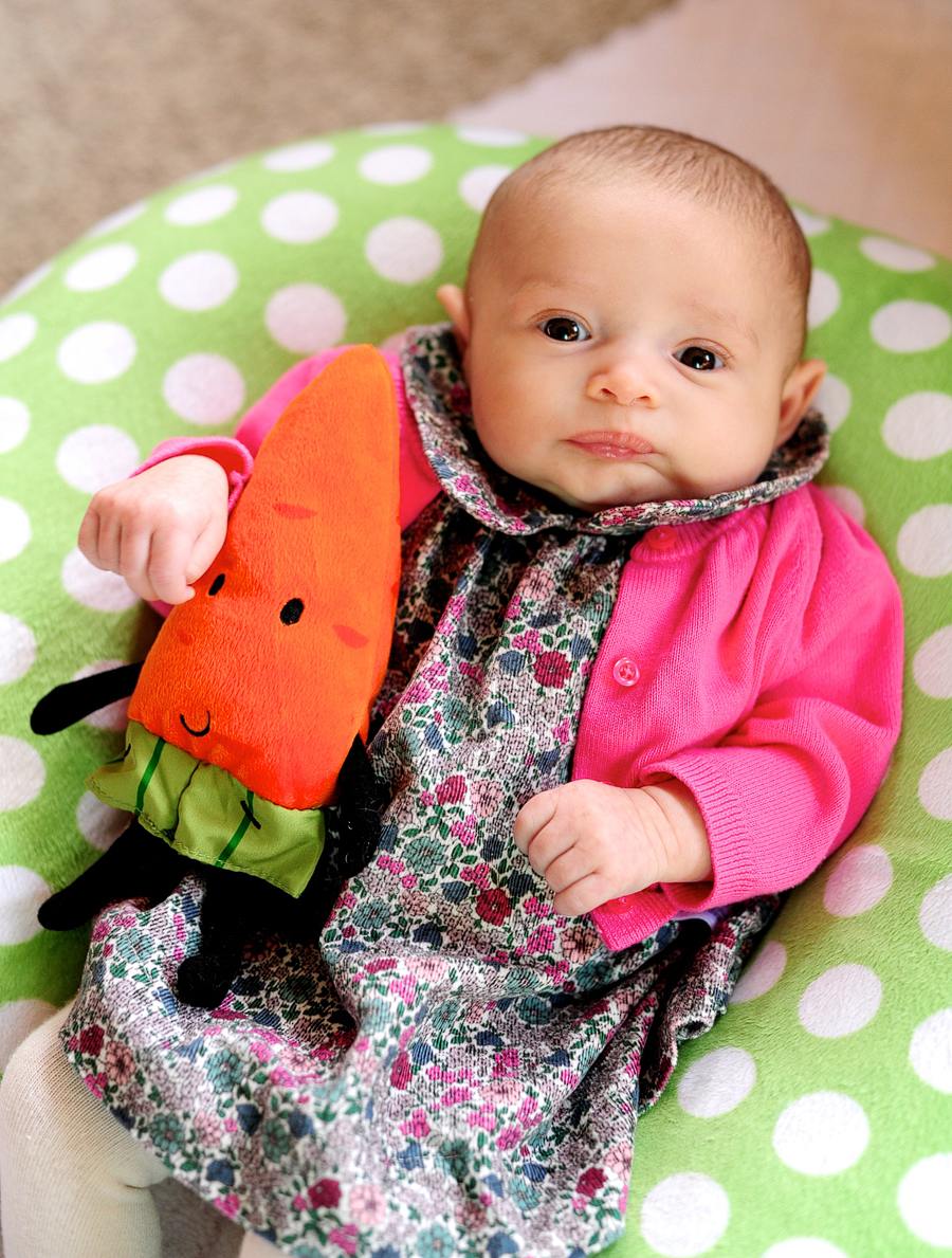 baby holding stuffed carrot