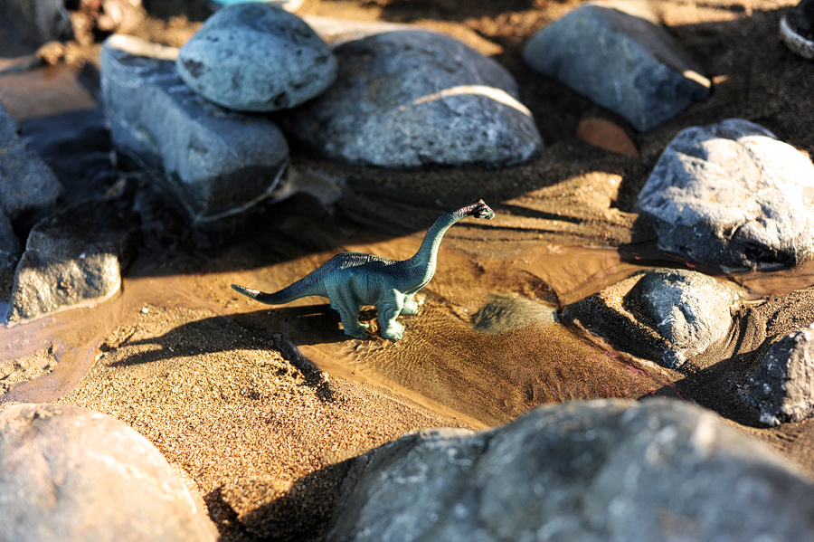 toy dinosaur on mile rock beach