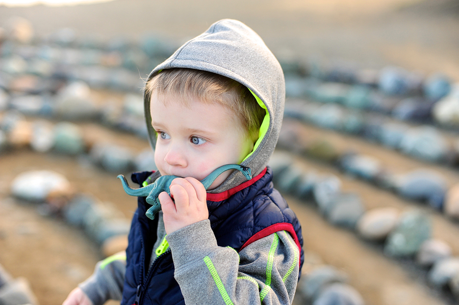 child playing with dinosaur toy
