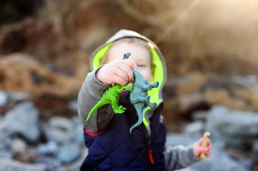 boy and dinosaur toys