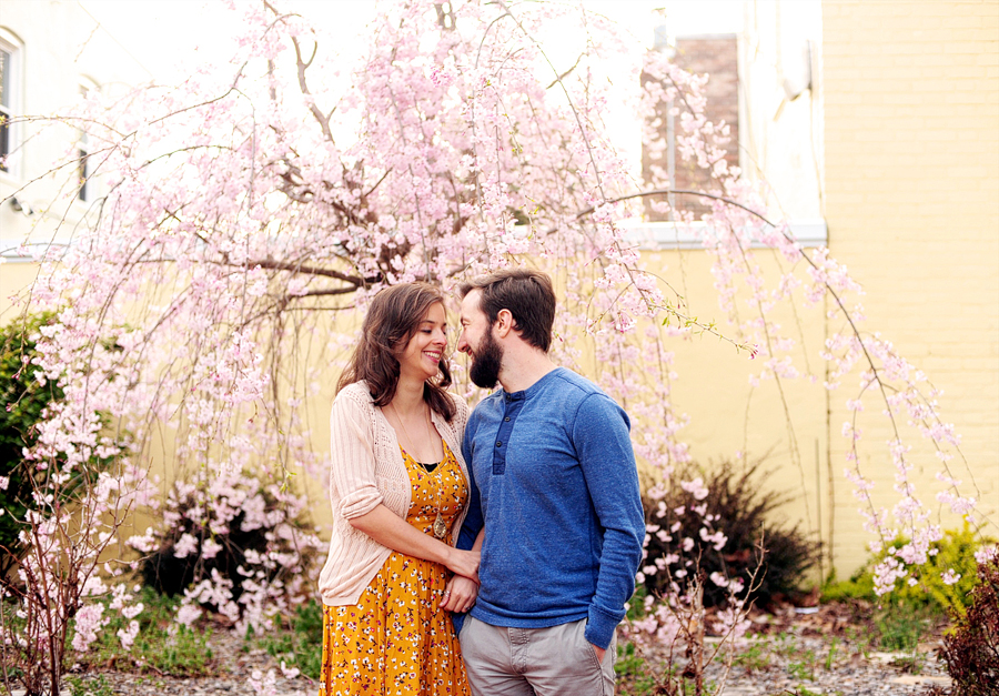 cherry blossoms engagement session