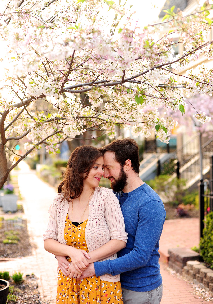 washington, dc engagement session