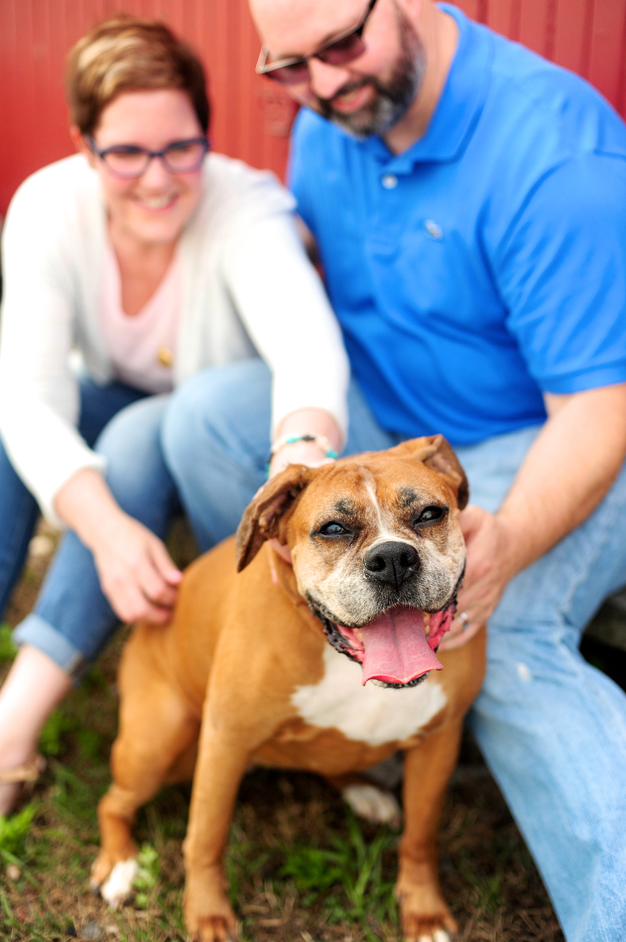 pet portraits in maine