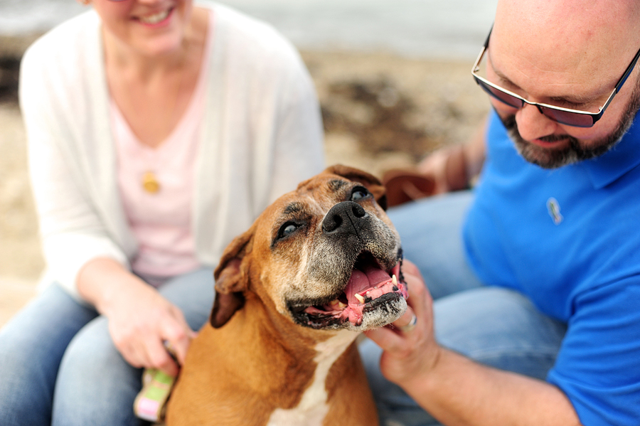 family session with dog in portland, maine