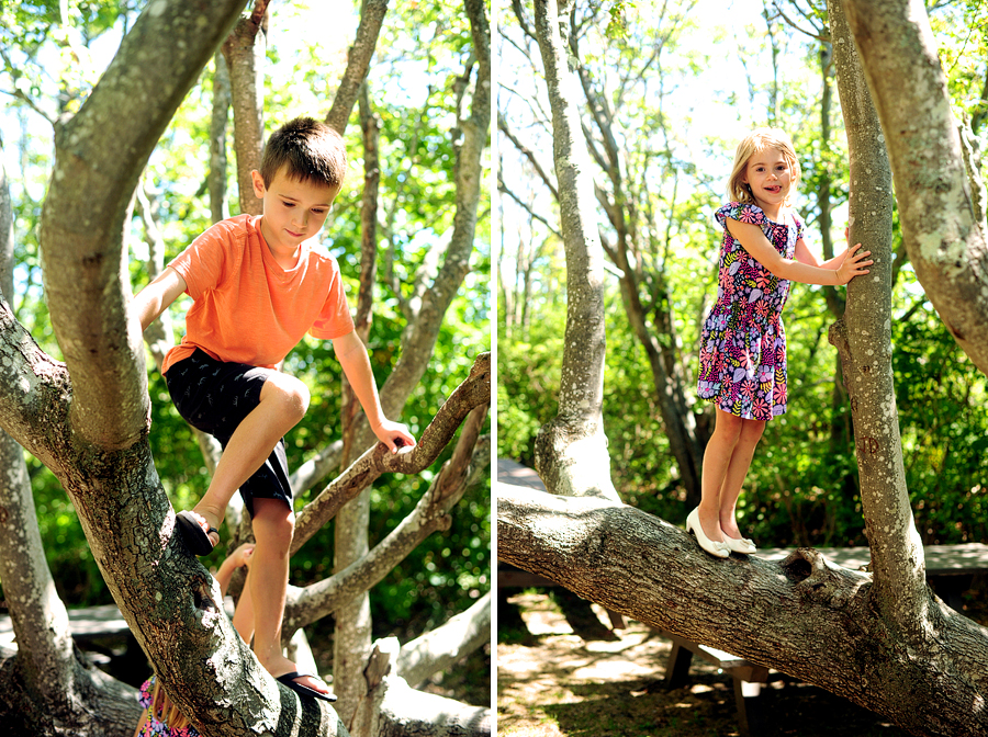 outdoorsy family session in maine