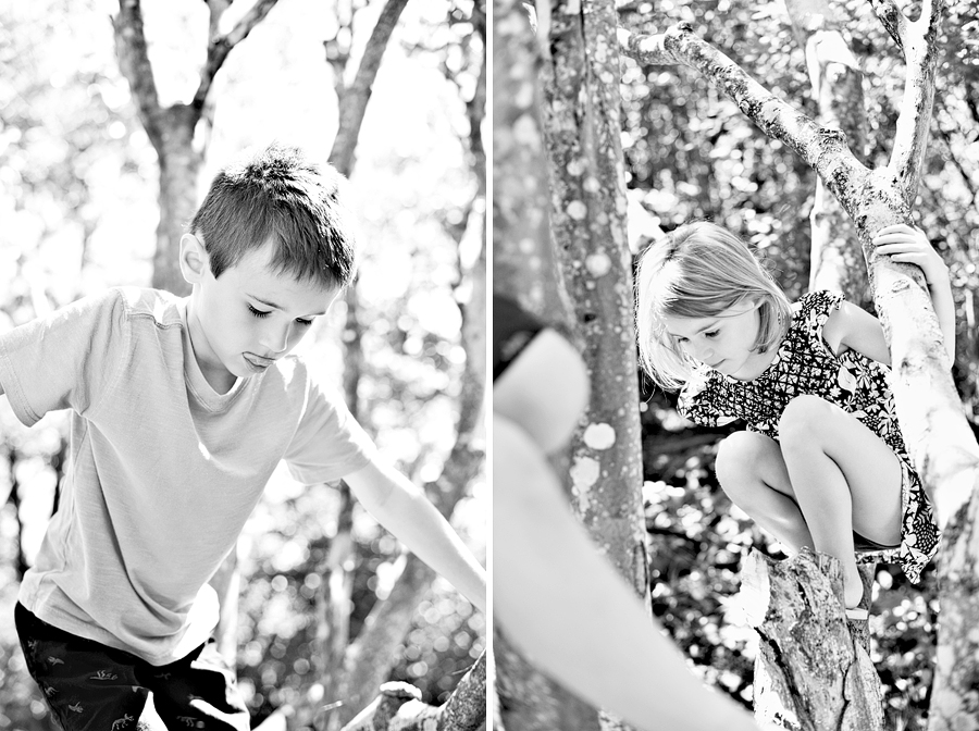 adventurous family photos in maine