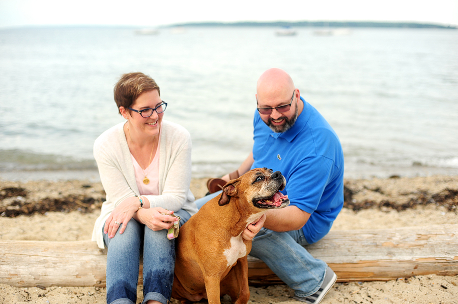 maine beach dog session