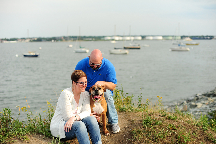 portland, maine pet portraits