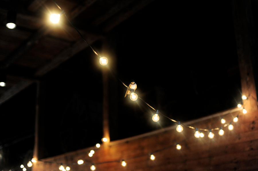 string lights as wedding decor